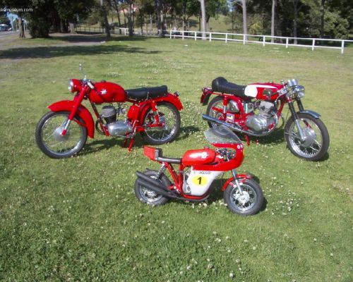 MV Agusta Minibike Racing 50  